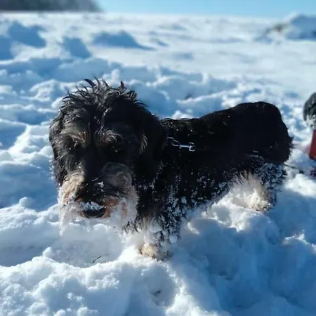 Дом отдыха Auszeit Am *