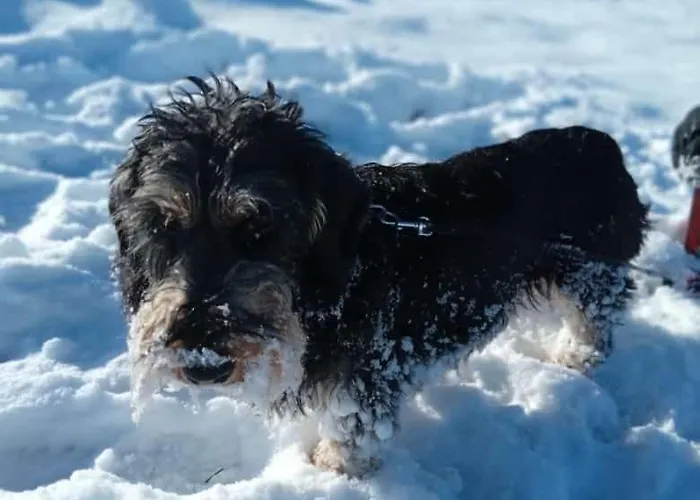 بيت للعطل Auszeit Am *